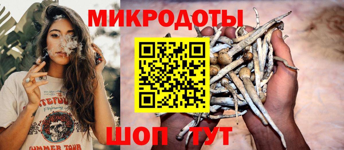 Псилоцибиновые грибы мицелий Касимов
